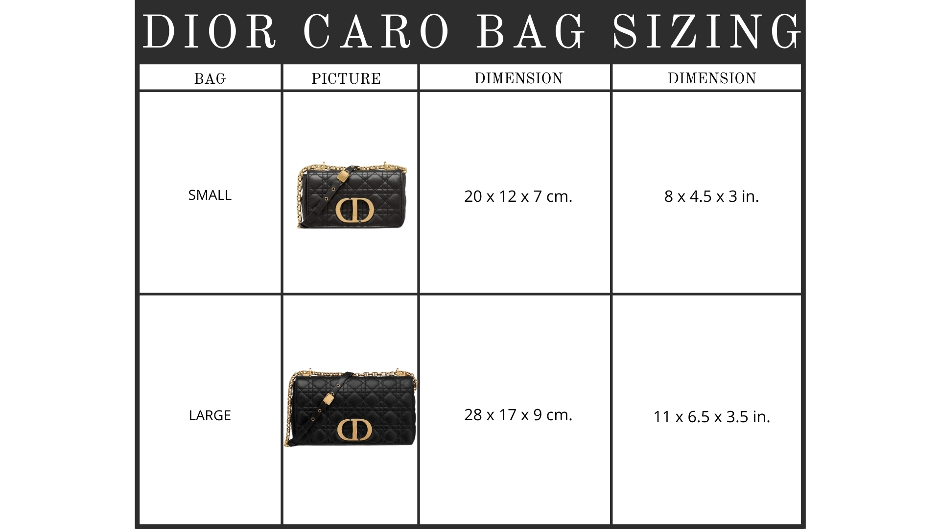 Dior Size Guide แนะนำการเลือกขนาดกระเป๋า KATE💋 STYLE