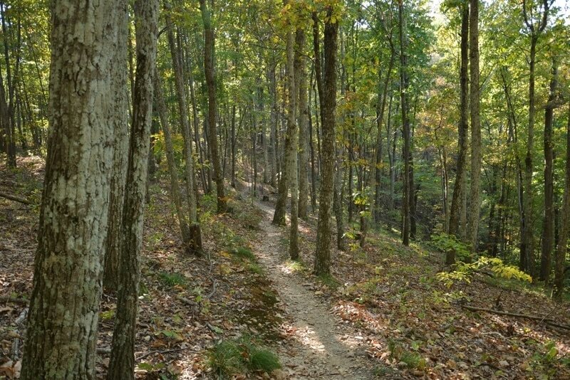 8 Best Local Day Hikes