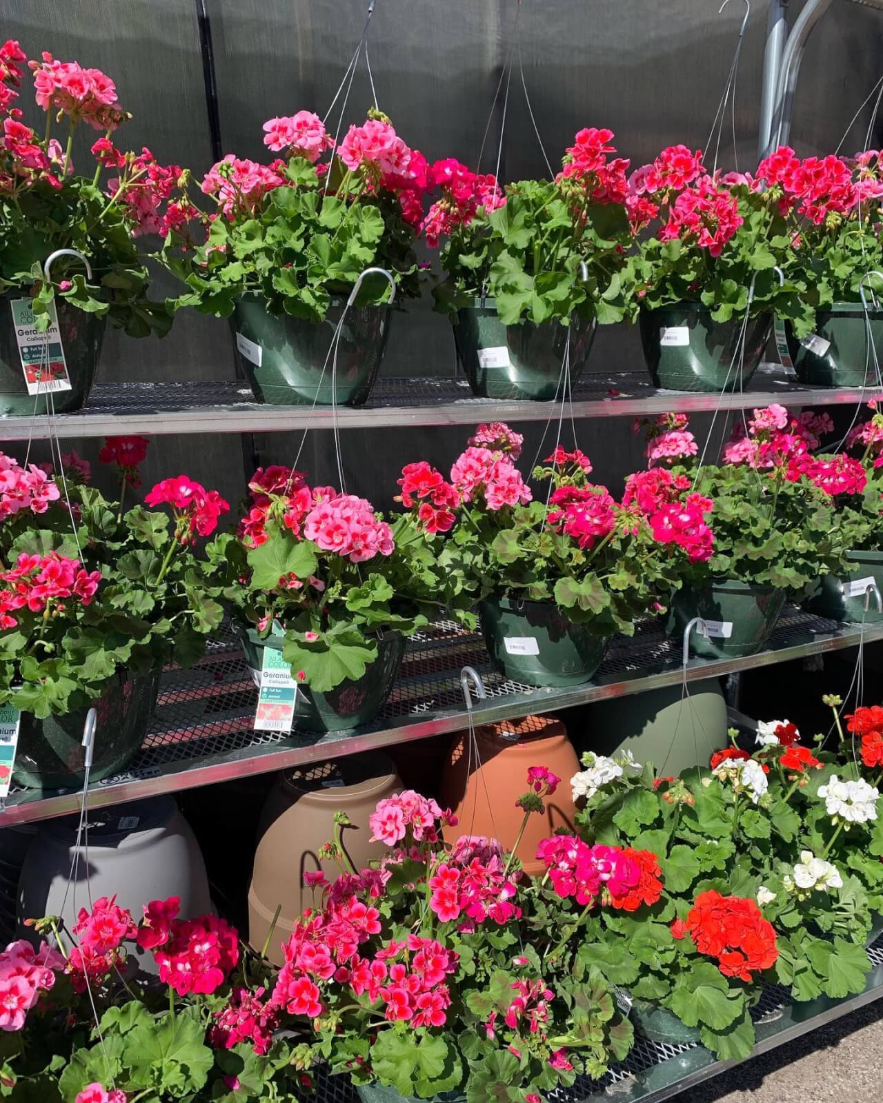 The Best Flower Shops in Nashville