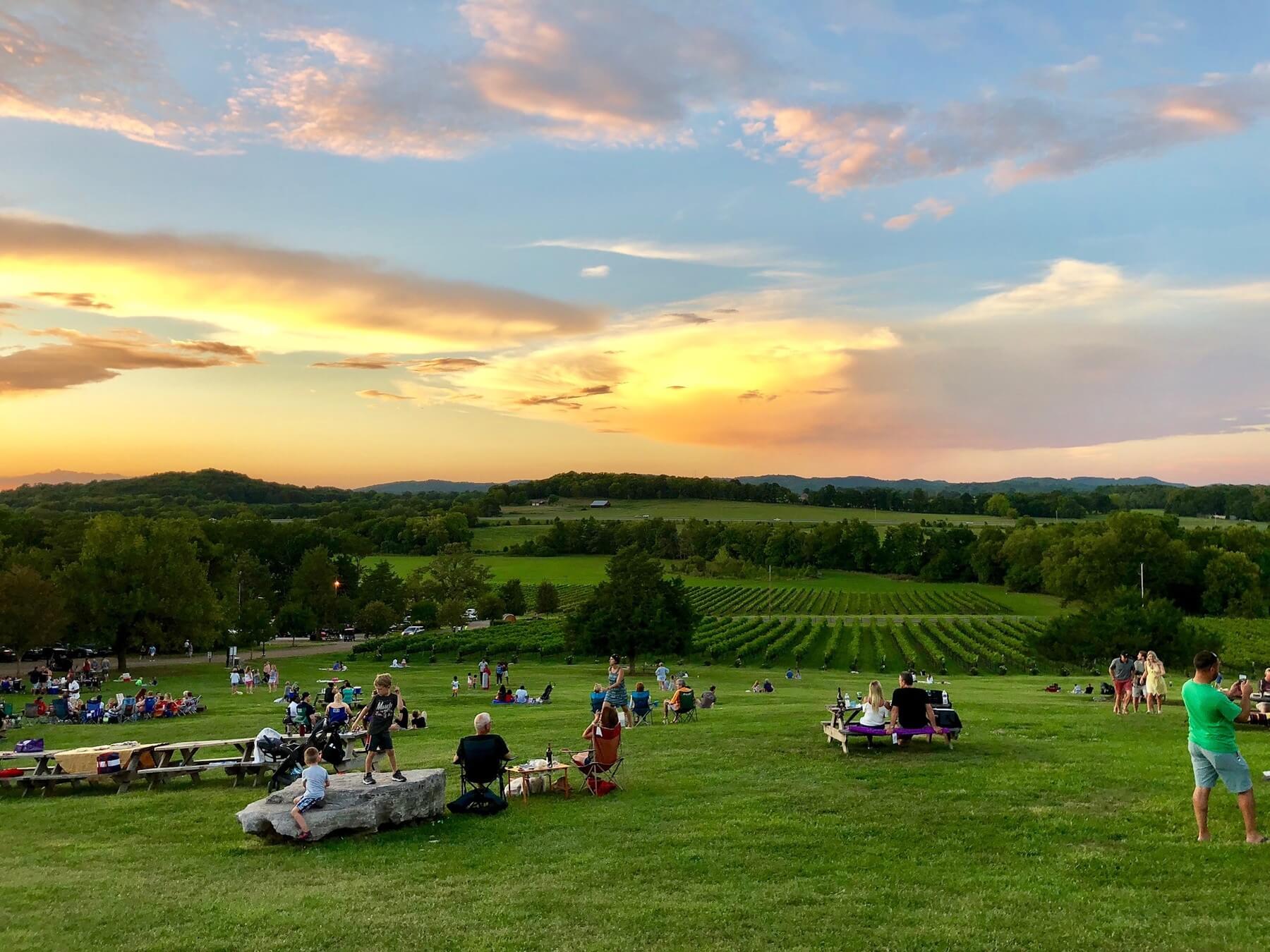 Tennessee Wineries Worth a Visit