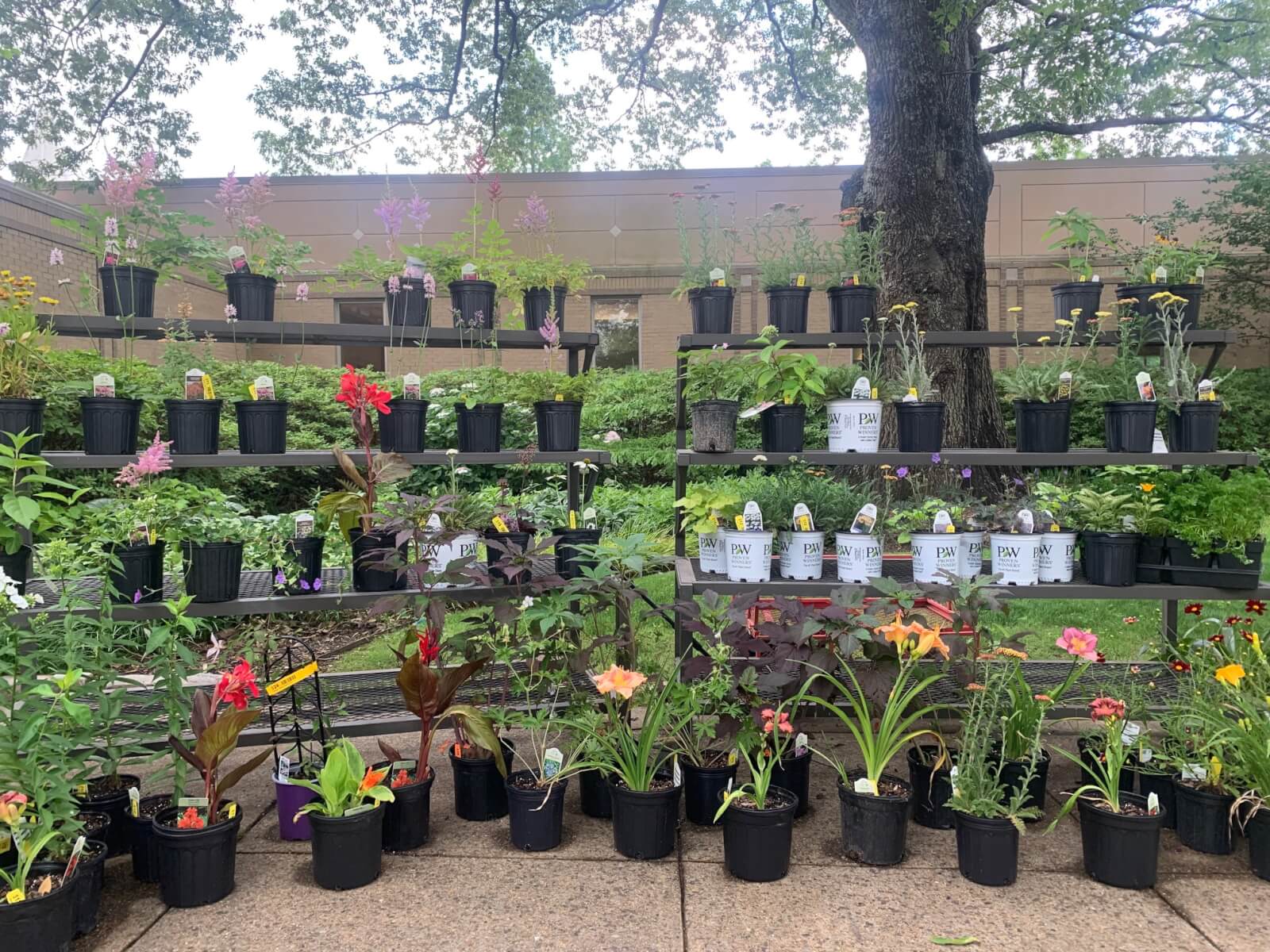 The Best Flower Shops in Memphis StyleBlueprint