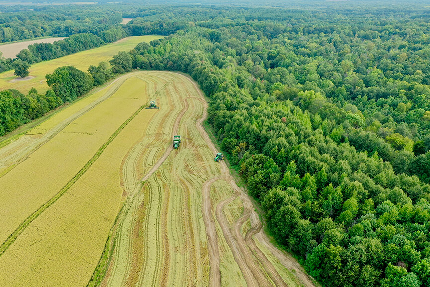 , Palestine Arkansas StyleBlueprint