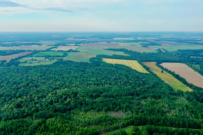 , Palestine Arkansas StyleBlueprint