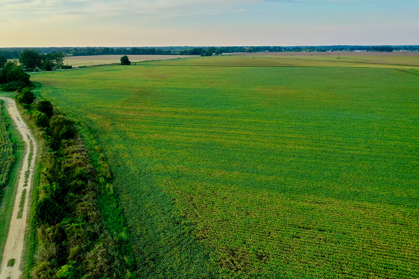 , Palestine Arkansas StyleBlueprint