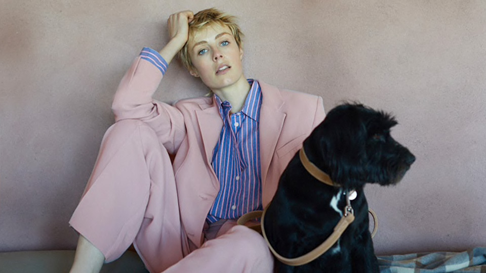 Zara Pet Collection Has Dog Beds, Leashes, Collars, Hoodies & More