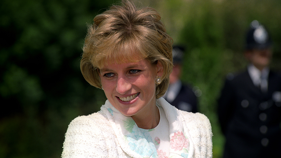 Princess Diana Net Worth at Death Prince William, Harry Inheritance