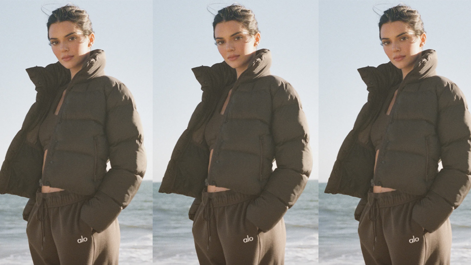 Get the Look Kendall Jenner's Iconic Brown North Face Puffer Jacket