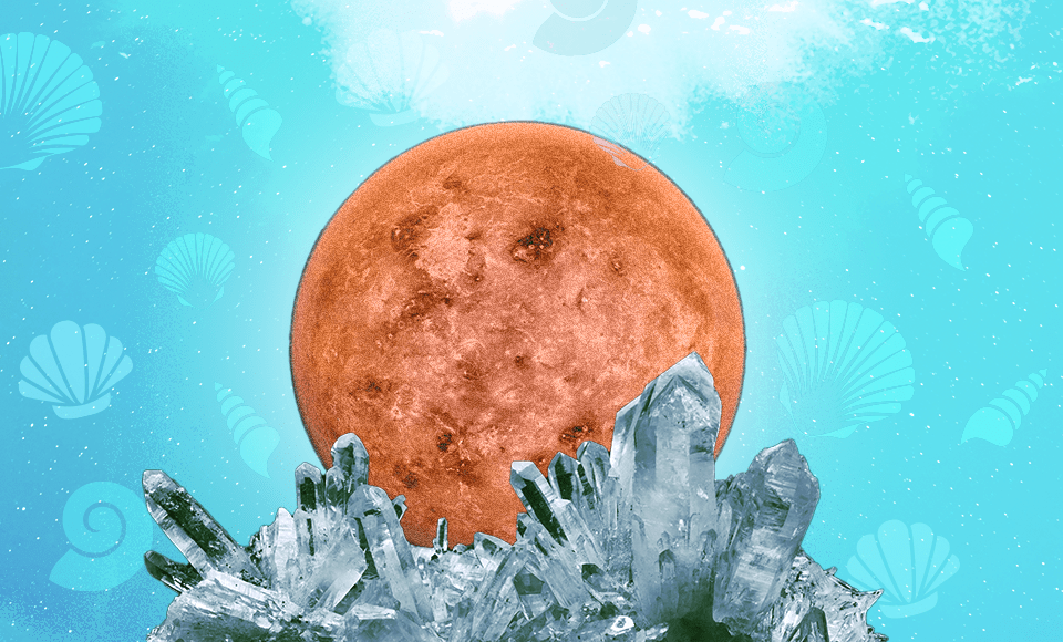 How Venus in Cancer 2023 Will Affect Each Zodiac Sign (From May to June