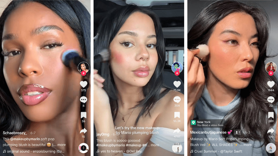 Makeup By Mario Plumping Blush Review The Blush of the Summer StyleCaster