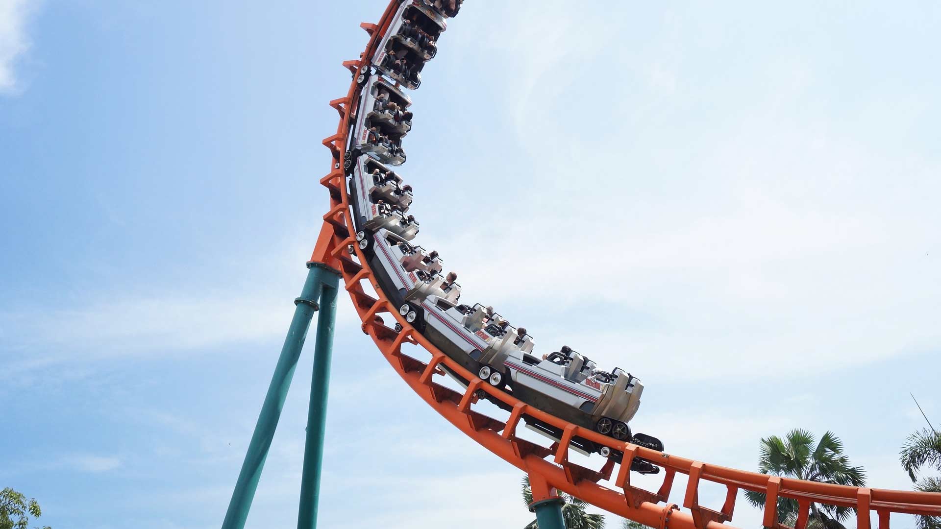 Roller Coaster Zoom Video Background