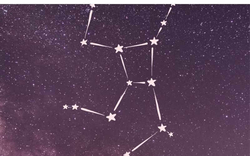 10 Astrological Signs and their Most Compatible Dog Breeds separator