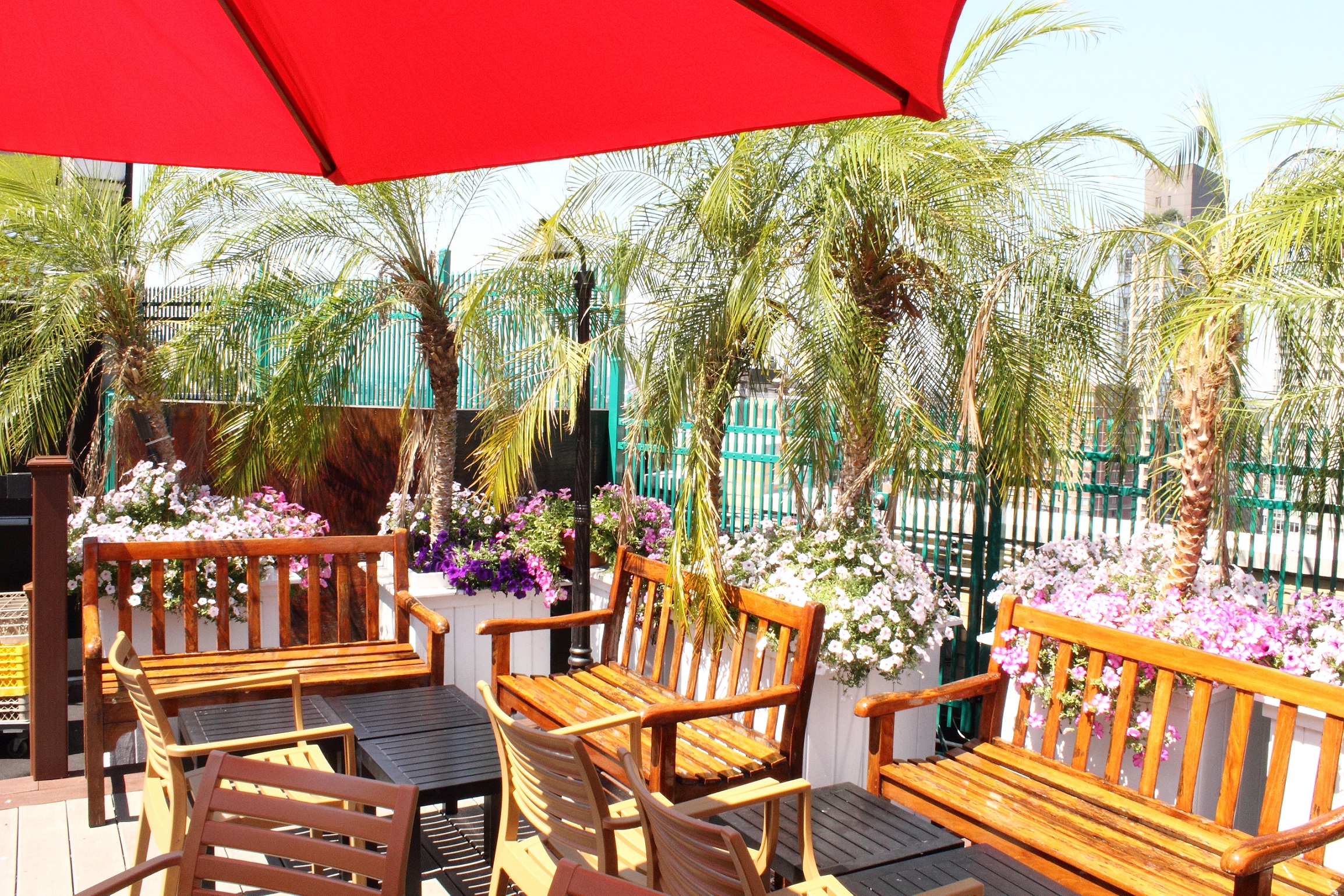 230 FIFTH ROOFTOP BRUNCH Style Over Function