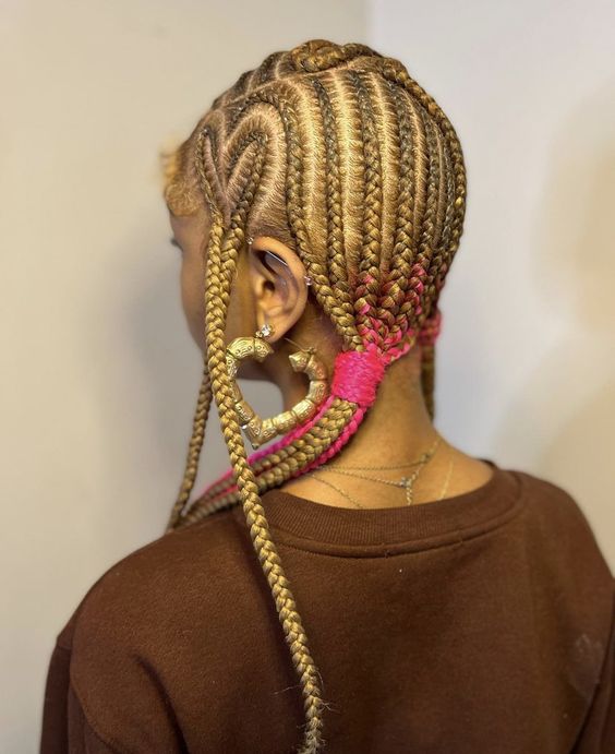 25 Stylish Heart Box Braids Hairstyle Inspos StyleOwner