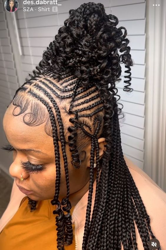 25 Stylish Heart Box Braids Hairstyle Inspos StyleOwner