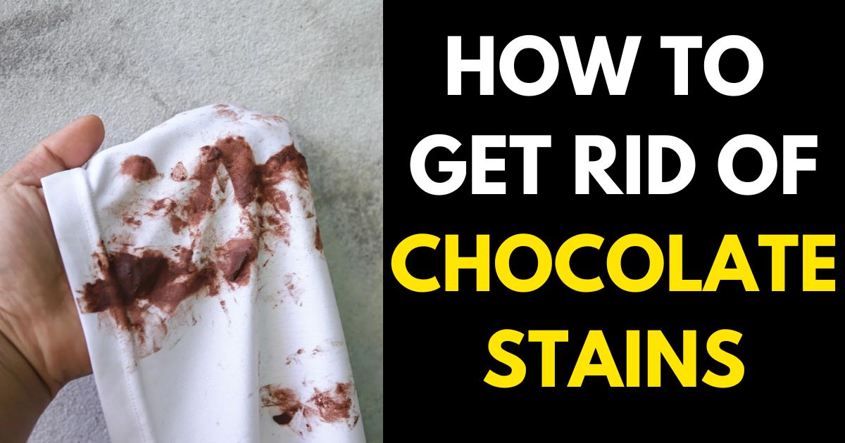 How to Get Rid of Old House Smell (16 Easy Ways) StylePersuit