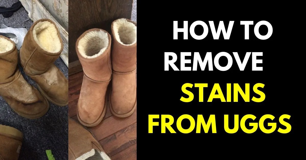 How to Deodorize House (Tips for a FreshSmelling Home) StylePersuit