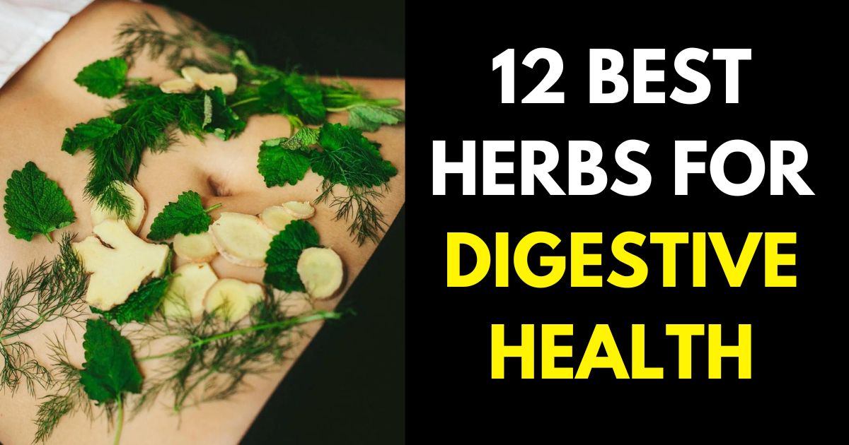 12 Best Herbs for Digestive Health StylePersuit