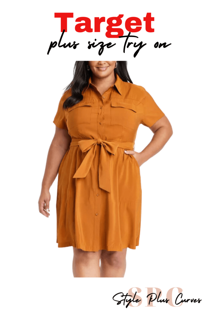 Target Plus Size Try On