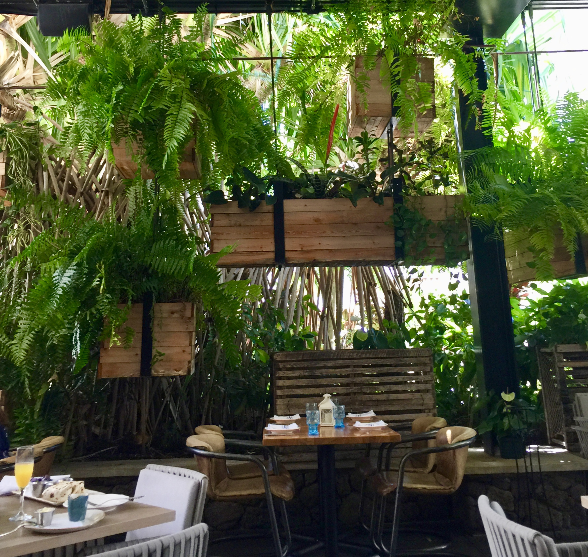 Herringbone Waikiki style preservation