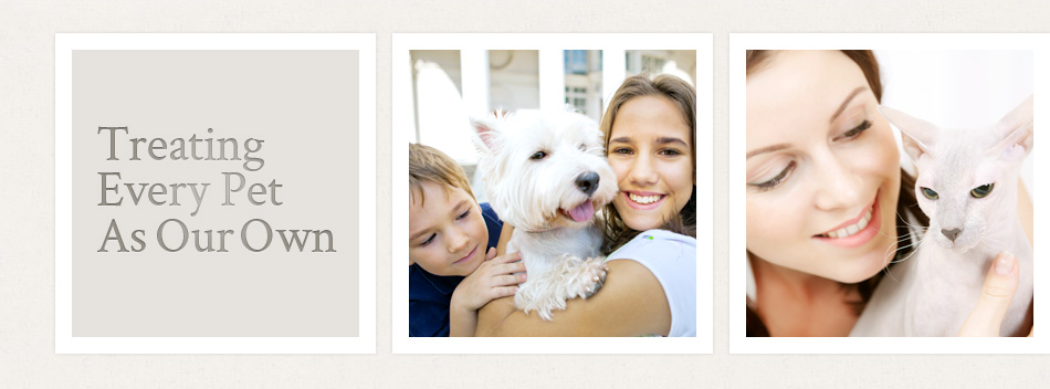 Surrey Pet Hospital Angel Animal Hospital Veterinarian Surrey, BC