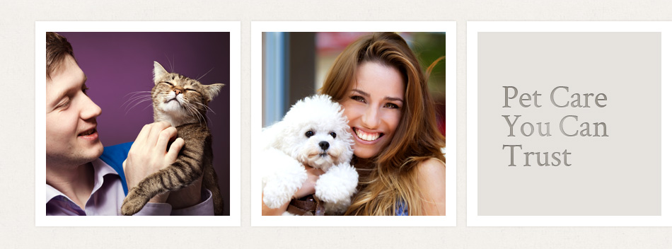 Surrey Pet Hospital Angel Animal Hospital Veterinarian Surrey, BC