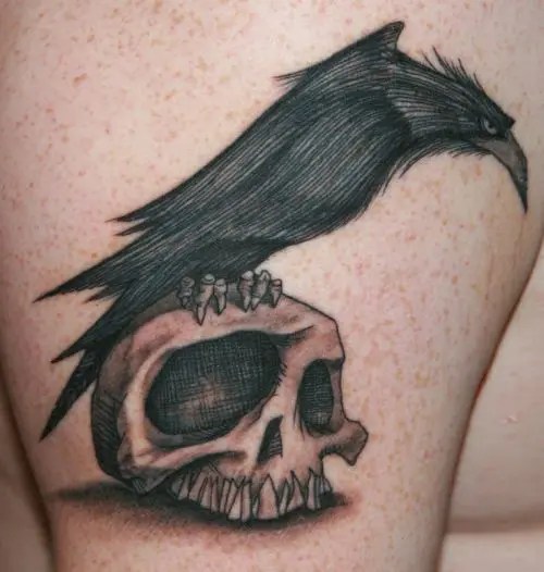 Top 15 Beautiful Bird Tattoo Designs With Images | Styles At Life 526_x_500_webp