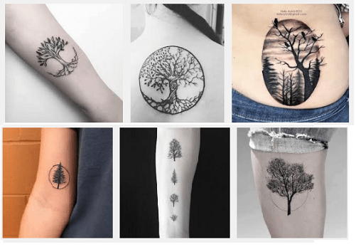 Top 25 Best Tree Tattoo Designs With Meanings | Styles At Life 347_x_501_webp