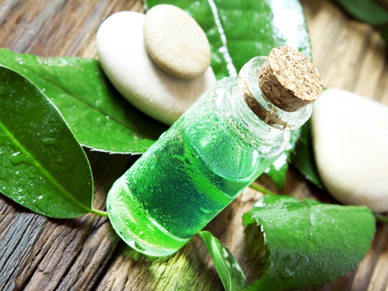 5 Latest Tea Tree Face Mask Products In India Styles At Life