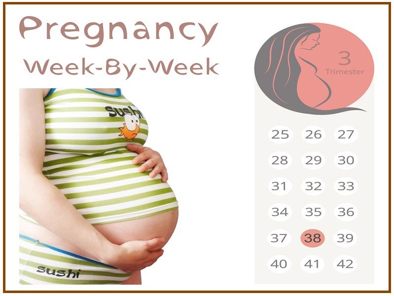 38 Weeks Pregnant Symptoms and Baby Development