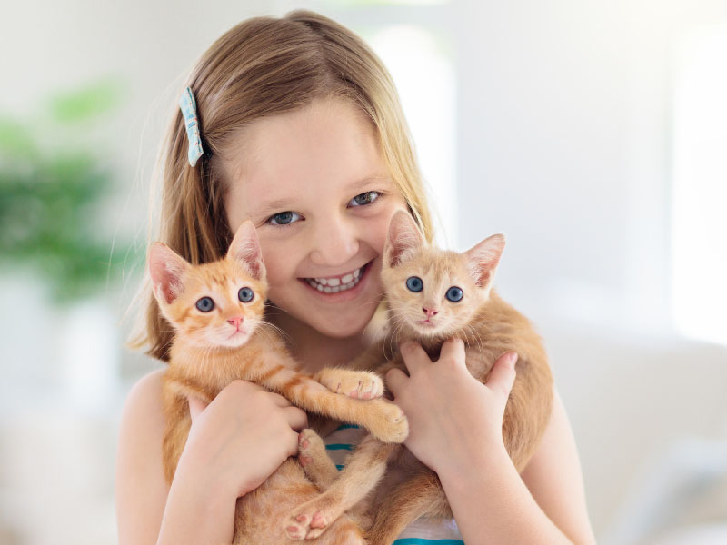 Names for Pet Cats 150 Cute Male and Female Kittens Names