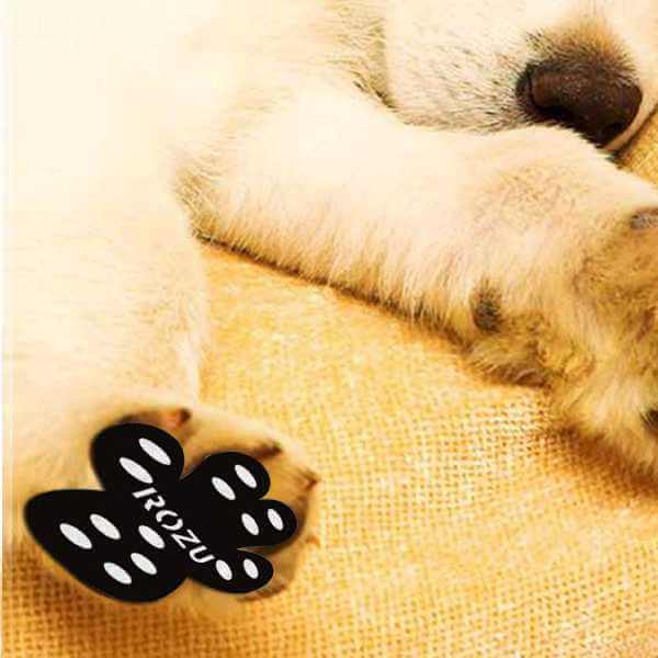 Best Anti Slip Paw Protection for Dogs StylesDaddy