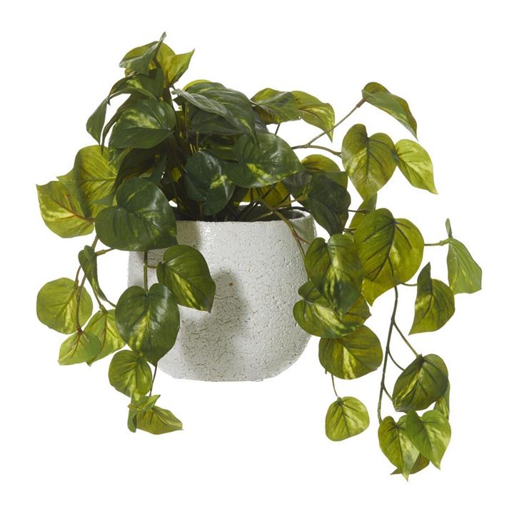 Artificial Hanging Pothos Plant in Tub Pot, 36cm by Rogue Style