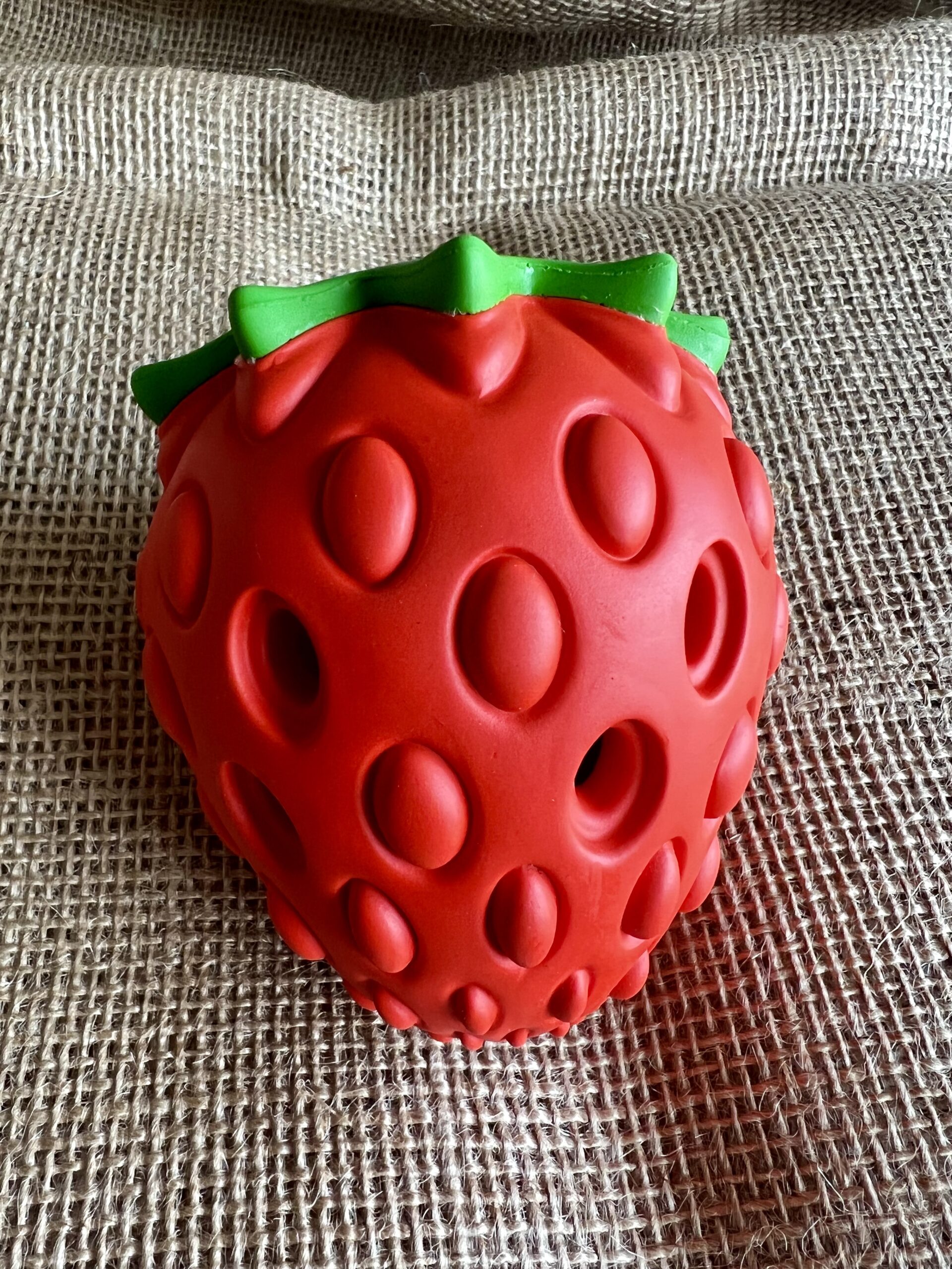 Strawberry Treat Dispenser Styley Pets