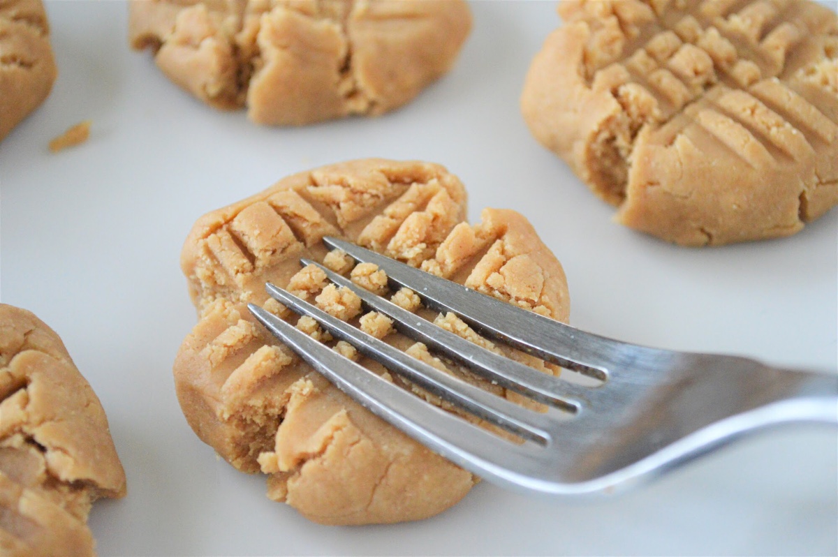 Coconut Flour Peanut Butter Cookies Low Carb NoBake Recipe
