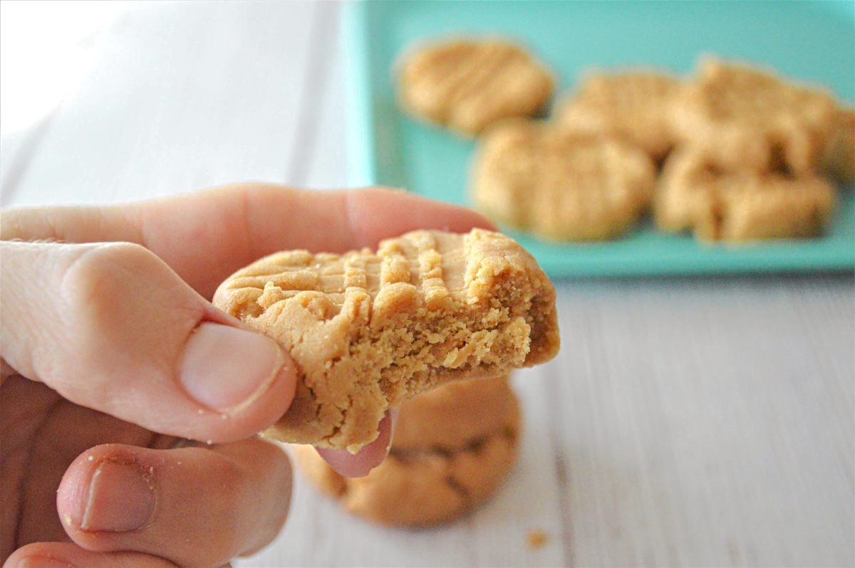 Coconut Flour Peanut Butter Cookies Low Carb NoBake Recipe