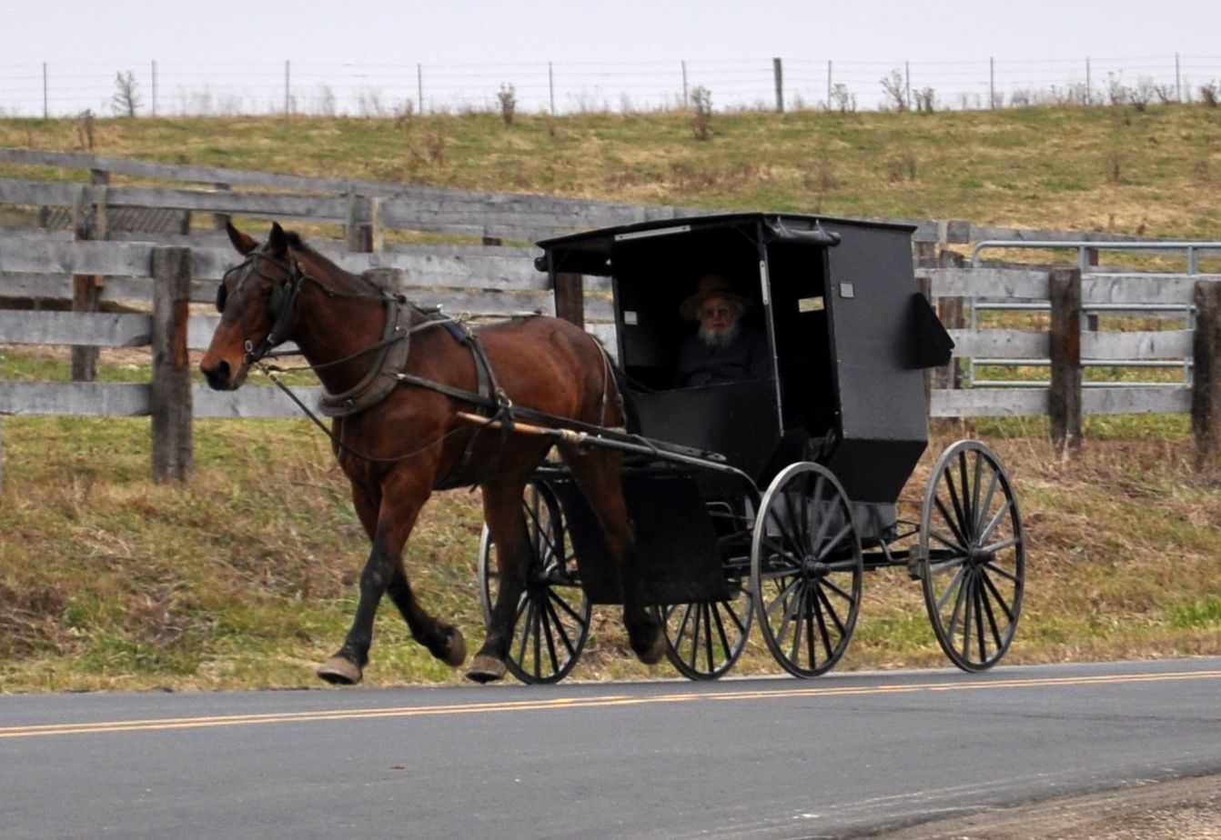 301 Moved Permanently