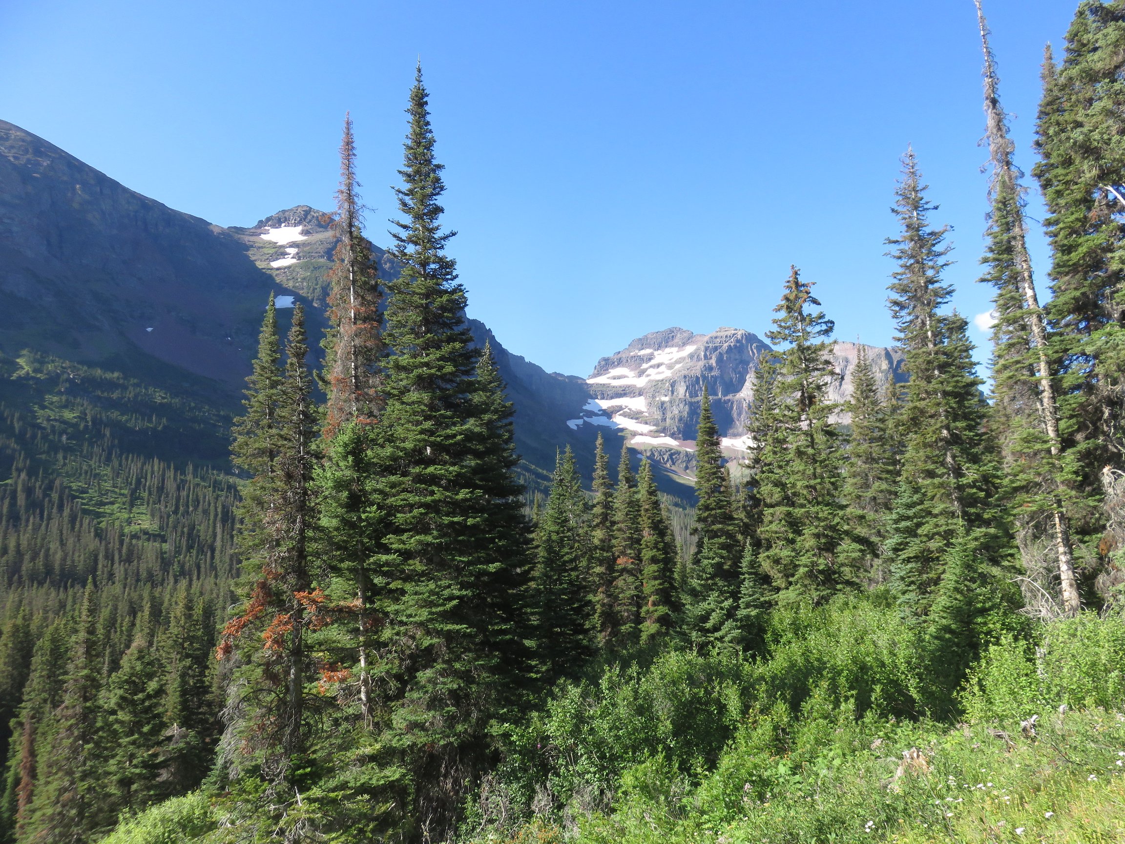 Glacier NP Dawson Pass Pitamakan Pass Loop Hike Subaru Vagabond