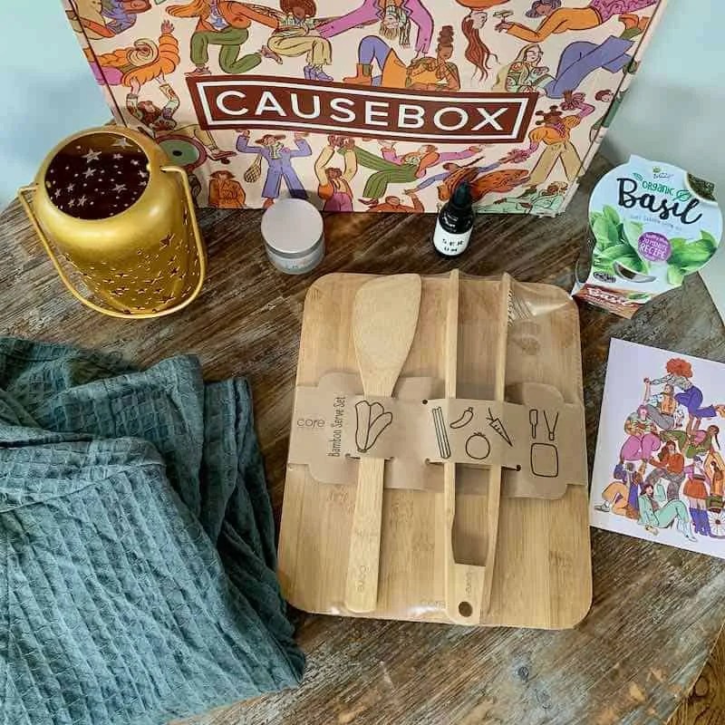 causebox fall 2023 CAUSEBOX Fall 2020 Review Subboxy