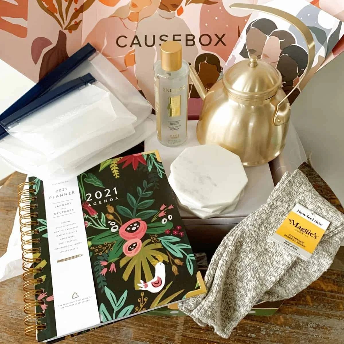 gramma in a box january 2022 review dogs and cats Subboxy