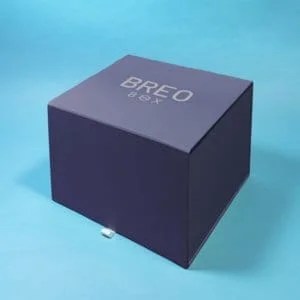 Breo Box Fall 2023 Breo Box Fall 2021 Spoilers + Coupon - Subboxy