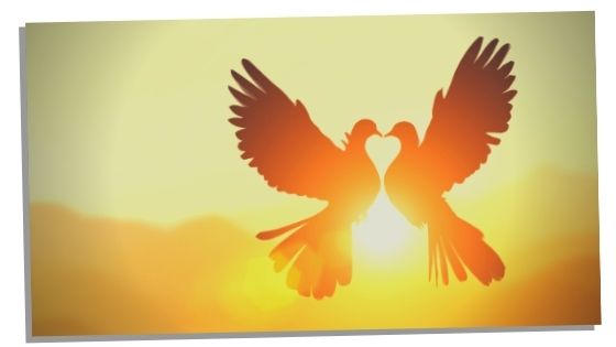 Angel Number 505 The TRUE Meaning Of This Amazing Number