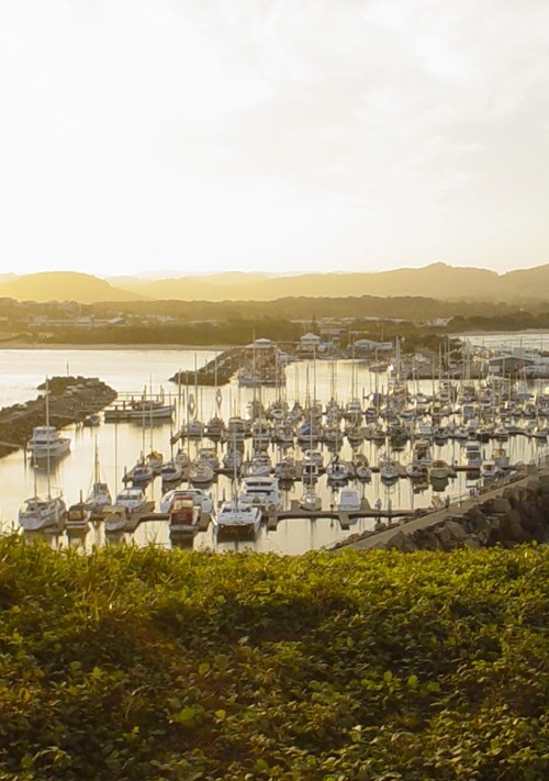 Subee Cleaning and Gardening services Coffs Harbour