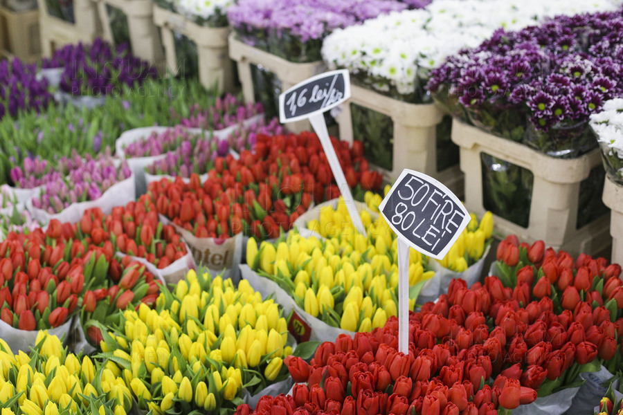 FISC anunță verificări ample ale activității comercianților de flori