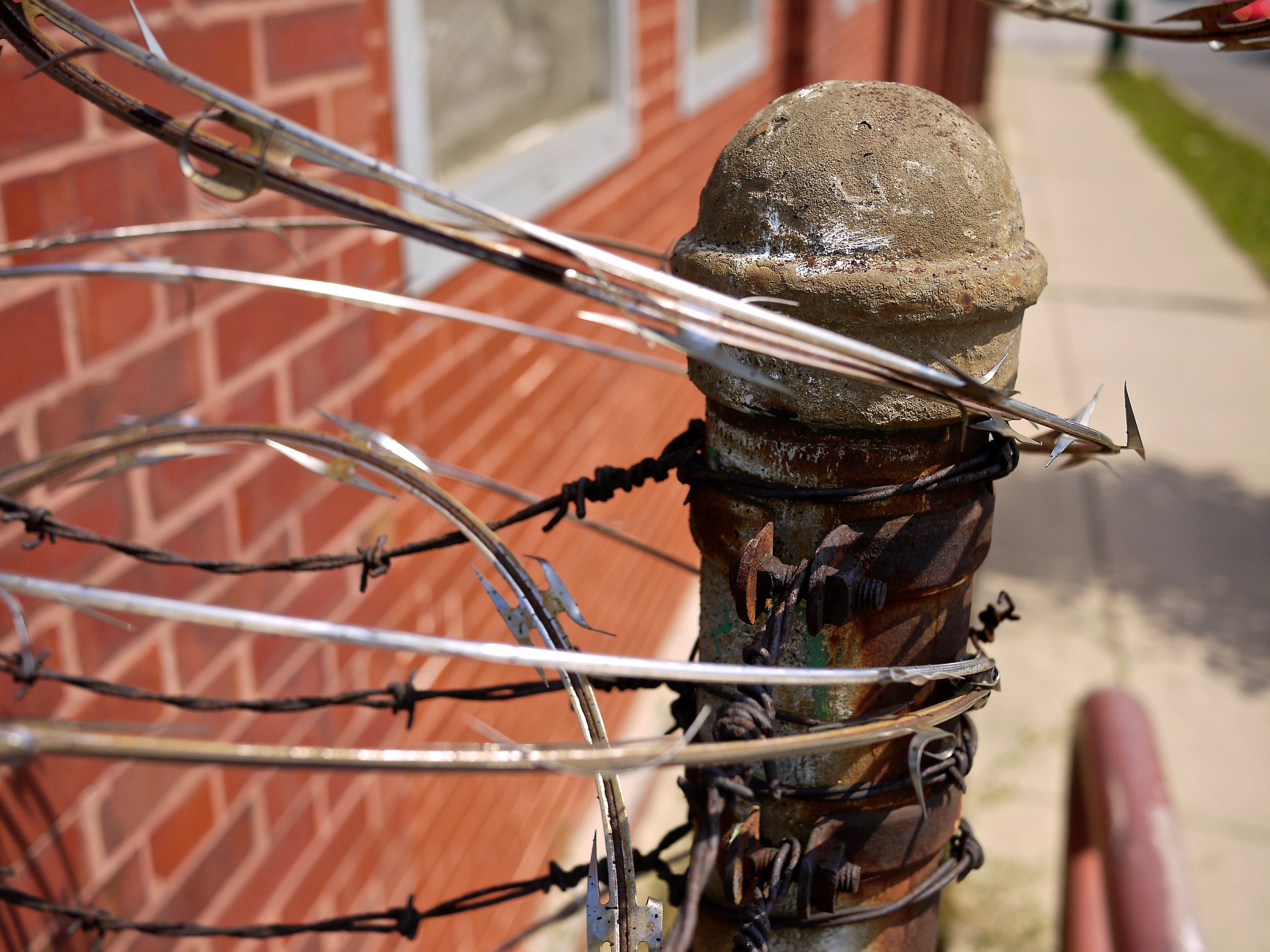 A rusted fence pole wrapped in barbed wire.