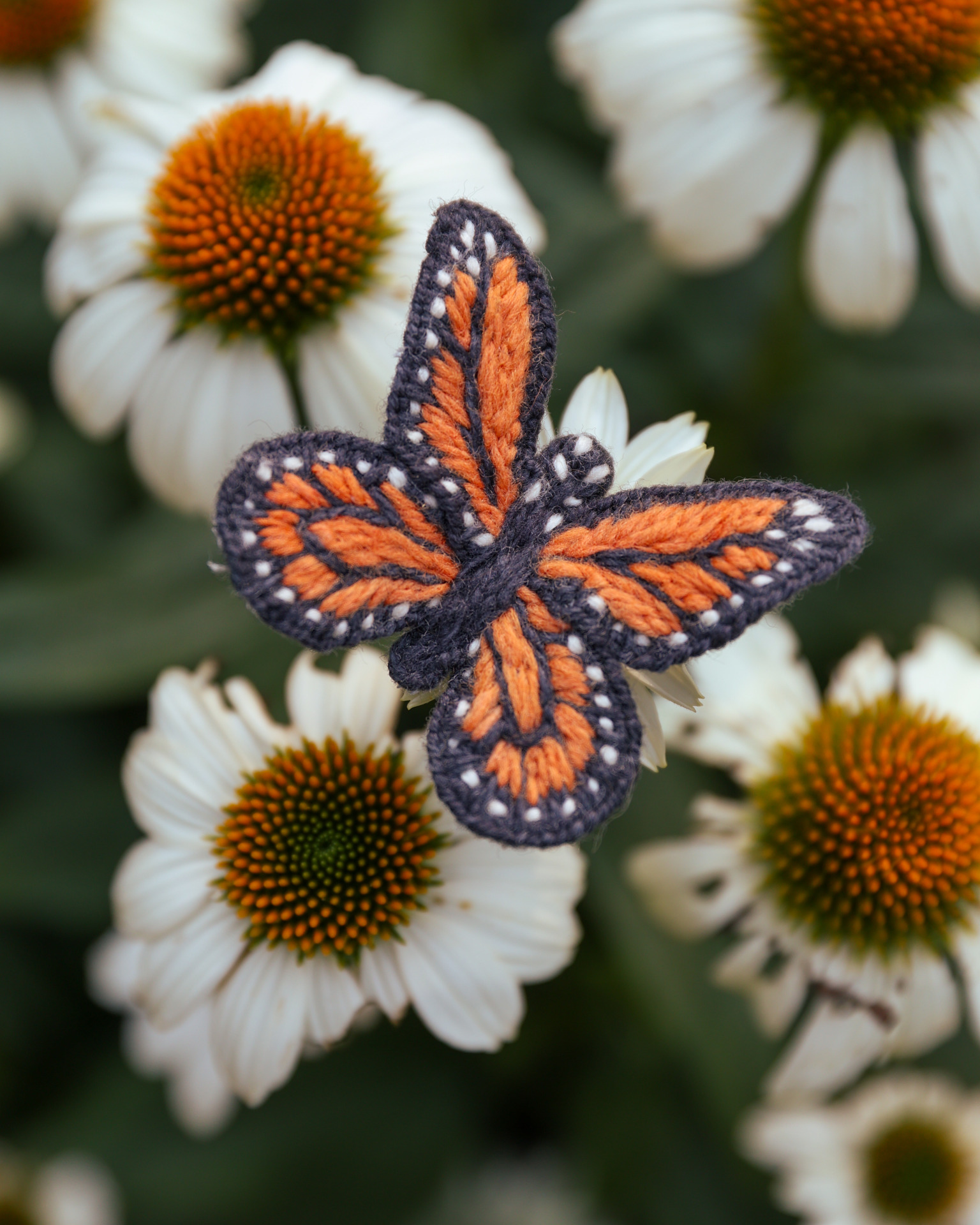 Monarch Butterfly Embroidery Kit Subito Farm Designs