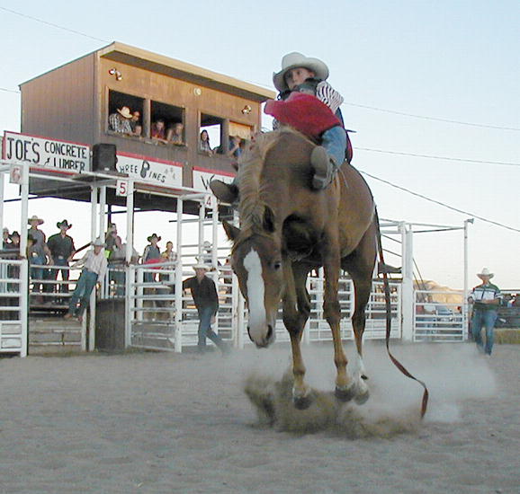 Sublette County Events Page