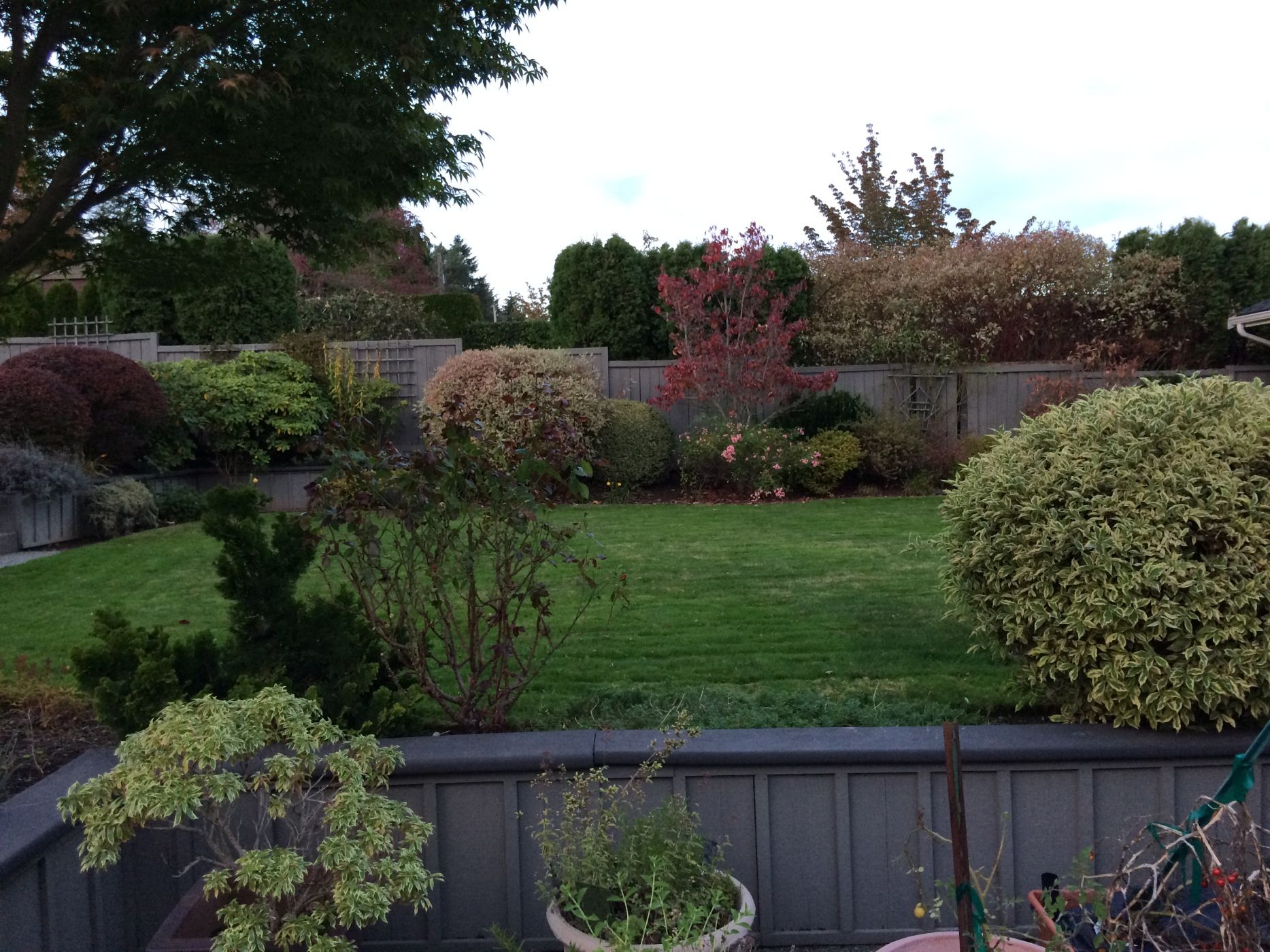 IMG_0498 Sublime Garden Design Landscape Design Serving Snohomish