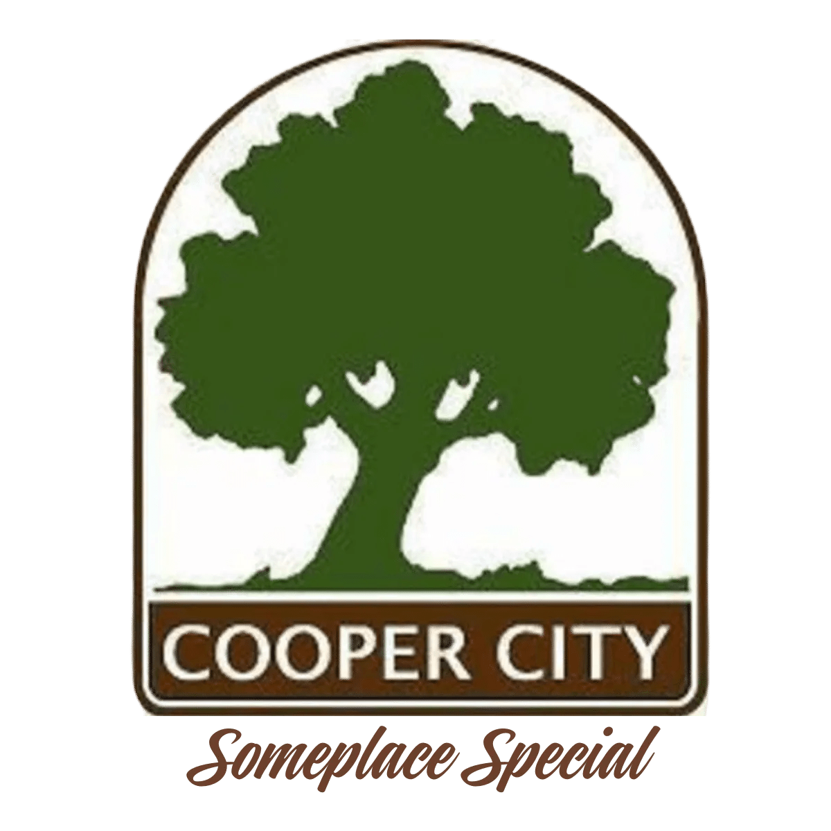 Cooper City Pool Service Local Pool Cleaning Experts