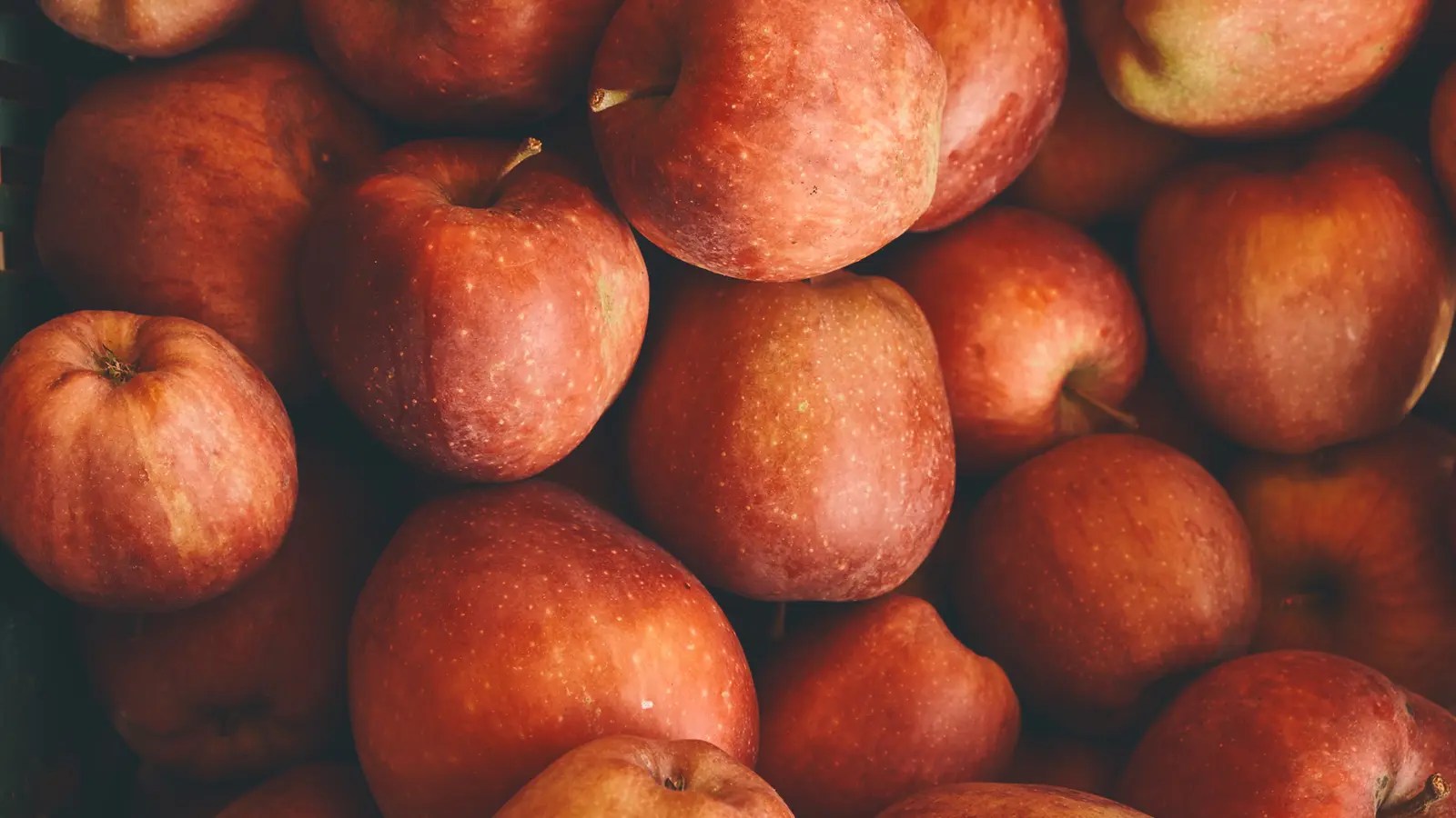 "After ApplePicking" by Robert Frost Study Guide