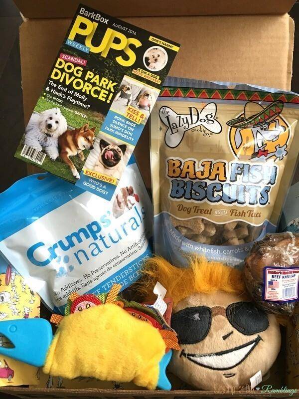 Barkbox Reviews Subscription Box Ramblings